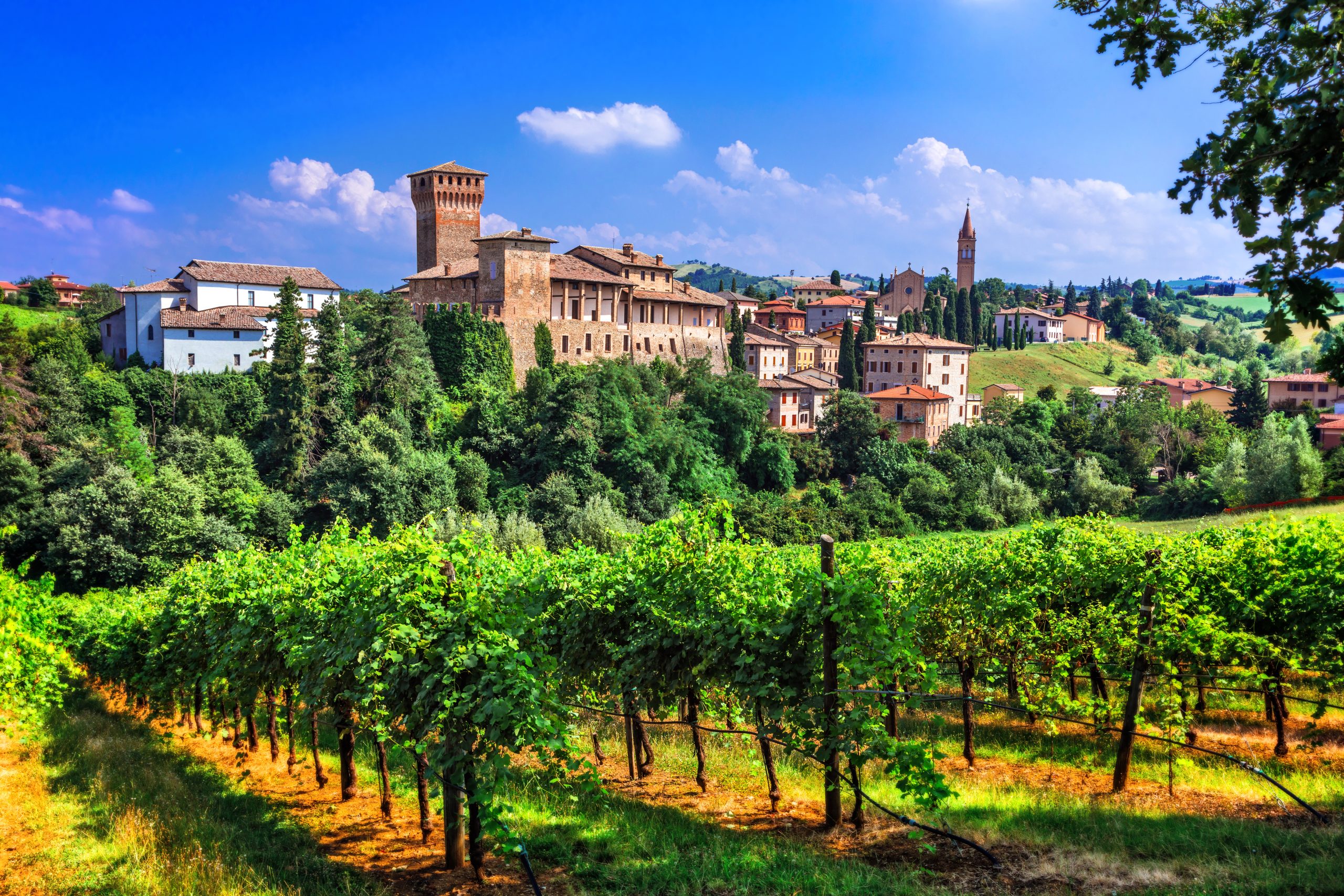 Cork & Cuisine: Italy Edition at Bow Valley Ranche